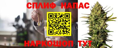 гашик Тара