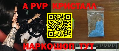 гашик Тара