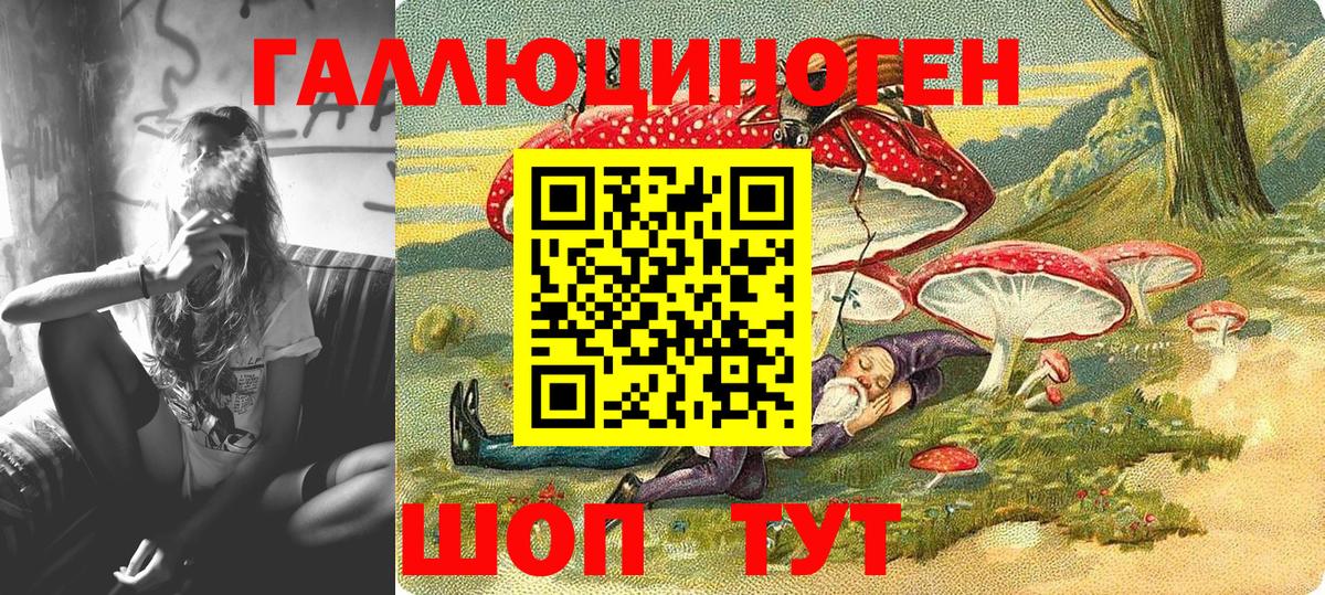 Псилоцибиновые грибы Cubensis  Вход с VPN  Псилоцибиновые грибы мицелий  Александров 