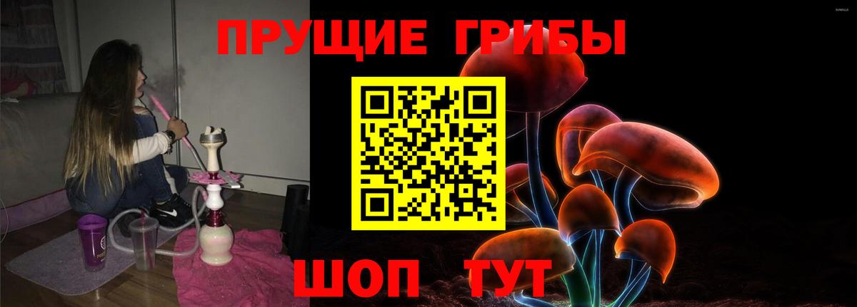 Галлюциногенные грибы Cubensis Александров